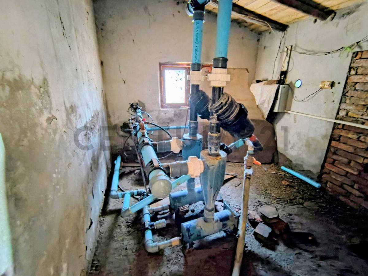 Campo en Venta en San Martin, Mendoza