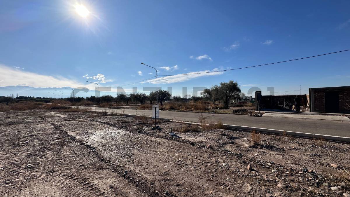Terreno en Venta en Lujan de Cuyo, Mendoza
