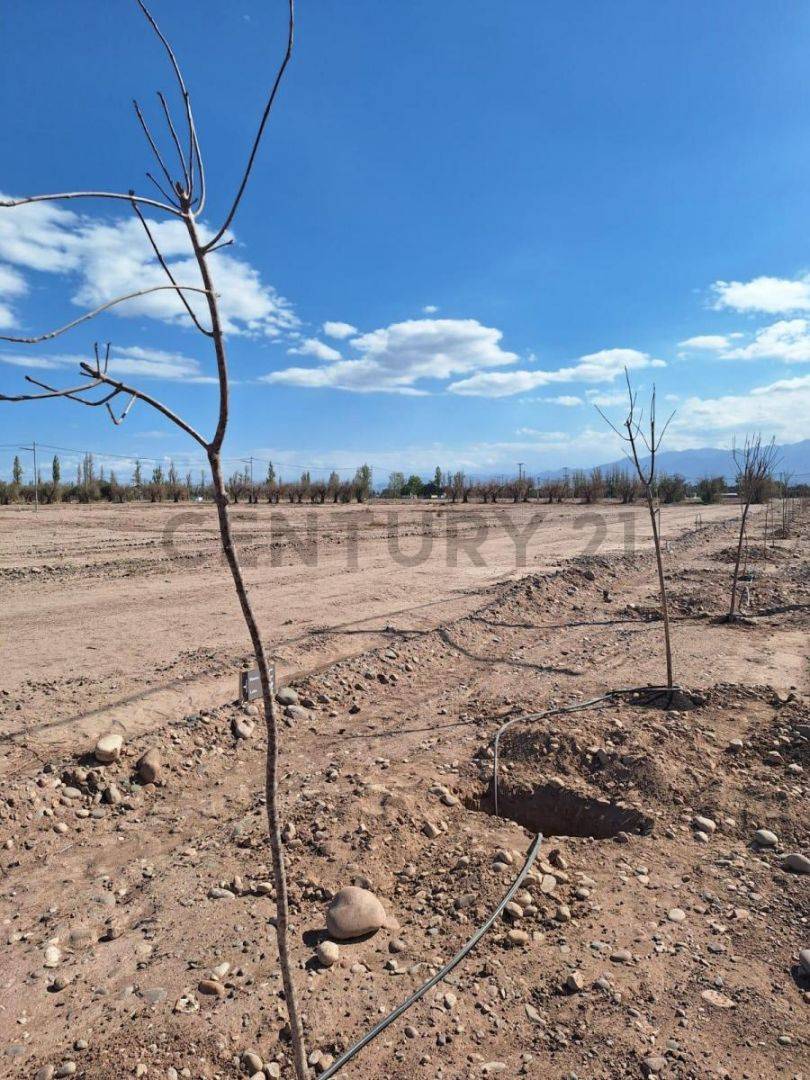 Terreno en Venta en Maipu, Mendoza