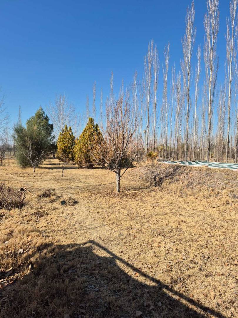 Terreno en Venta en Maipu, Mendoza