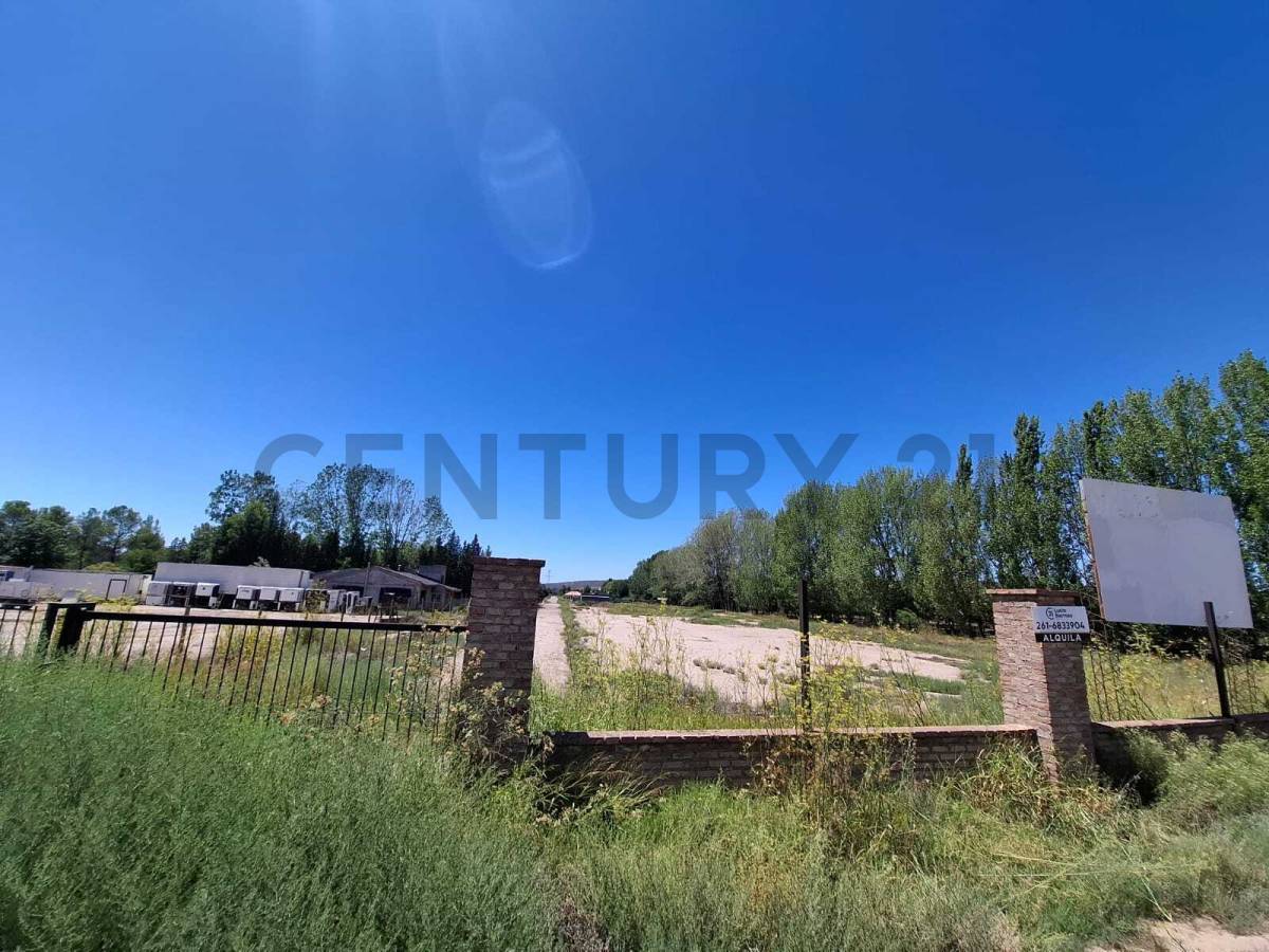 Terreno en Alquiler en Lujan de Cuyo, Mendoza