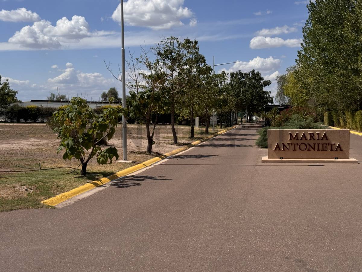 Terreno en Venta en Lujan de Cuyo, Mendoza