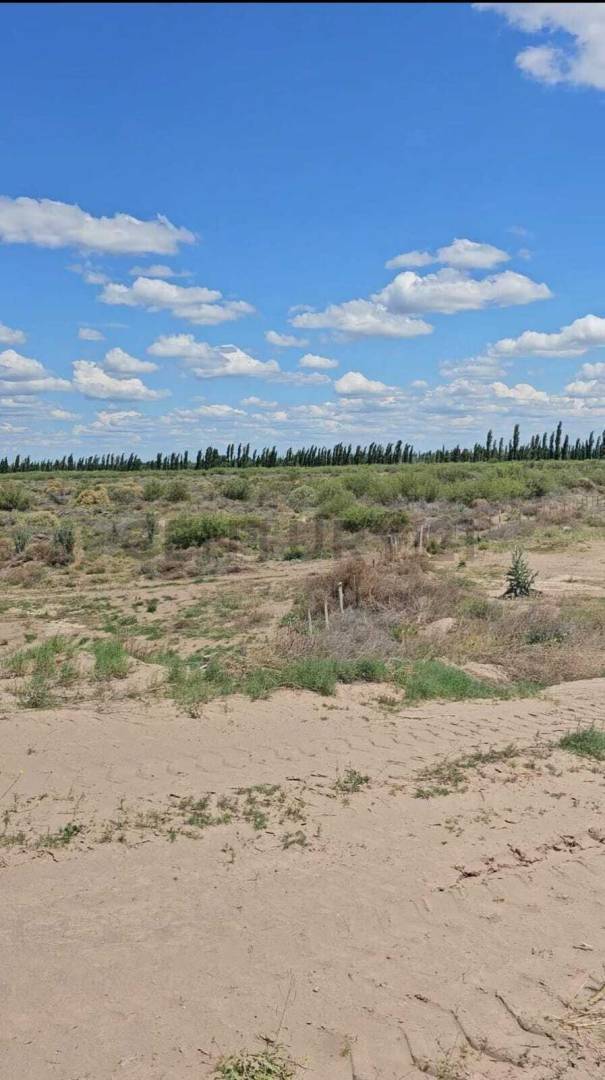 Campo en Venta en San Rafael, Mendoza