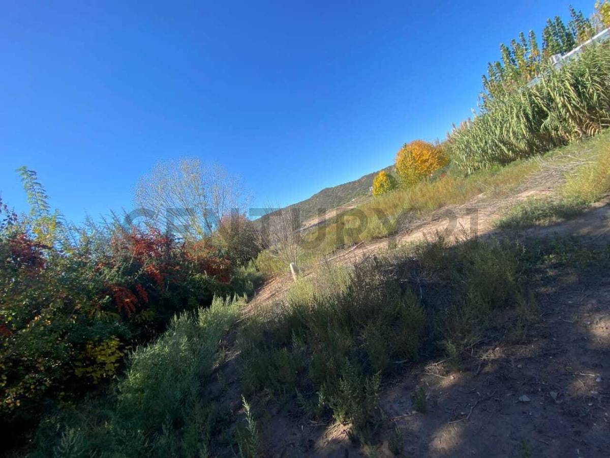 Terreno en Venta en Lujan de Cuyo, Mendoza