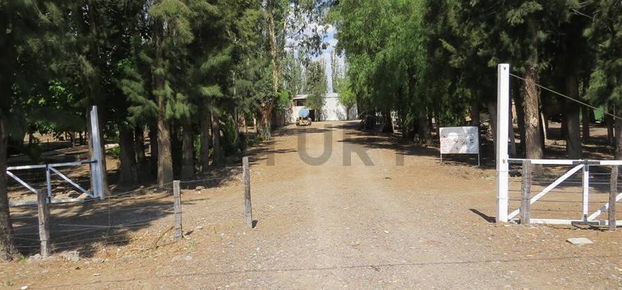 Campo en Venta en 25 de Mayo, San Juan
