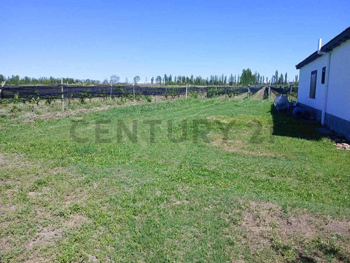 Casa Quinta en Venta en San Rafael, Mendoza