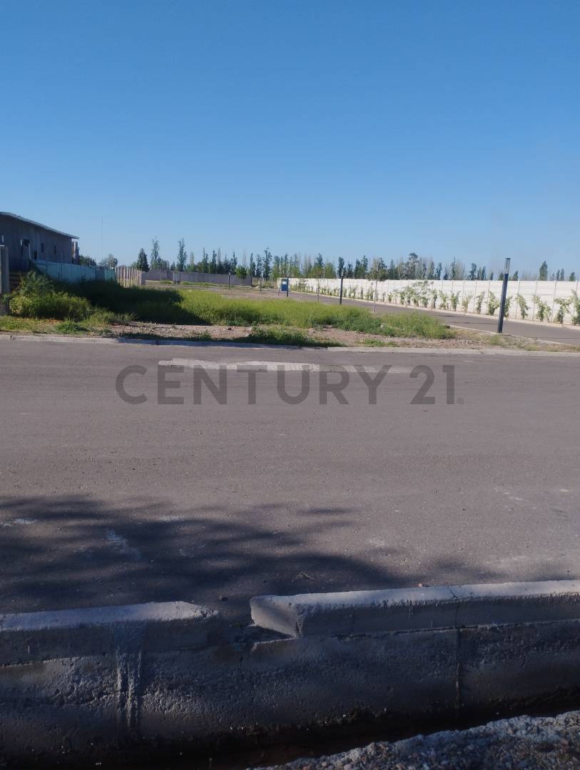Terreno en Venta en Maipu, Mendoza