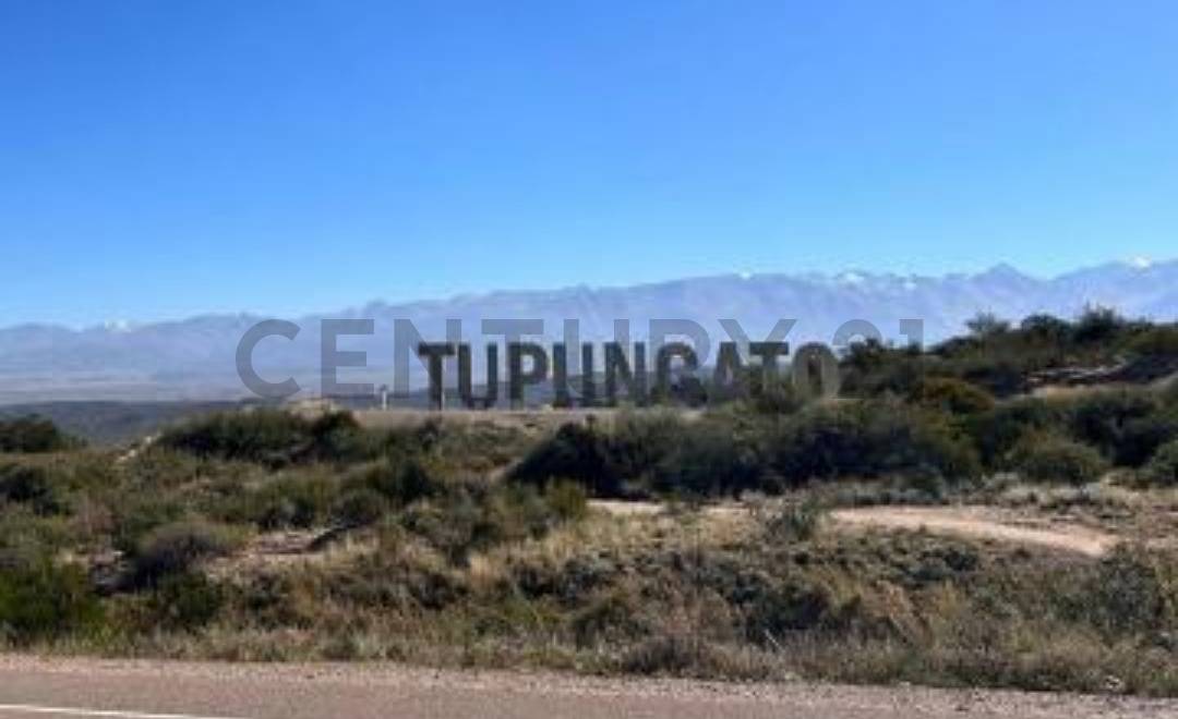 Terreno en Venta en Tupungato, Mendoza