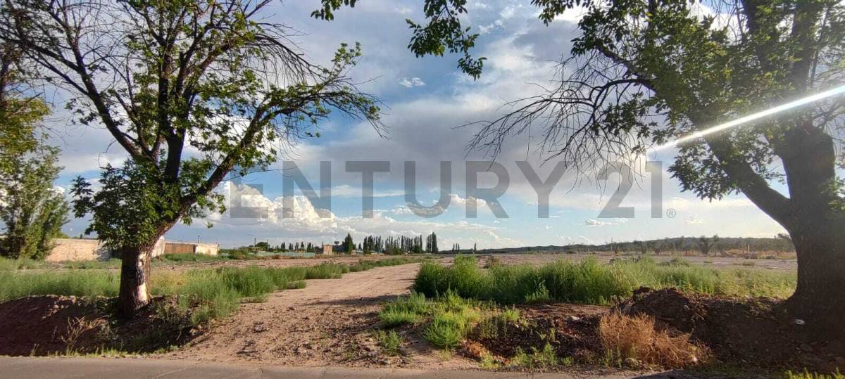 Terreno en Venta en Maipu, Mendoza
