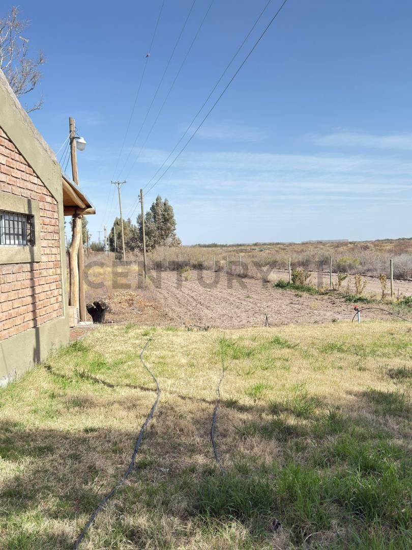 Terreno en Venta en Lavalle, Mendoza