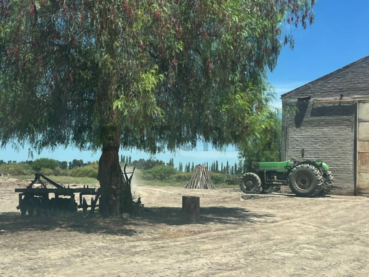 Campo en Venta en 25 de Mayo, San Juan