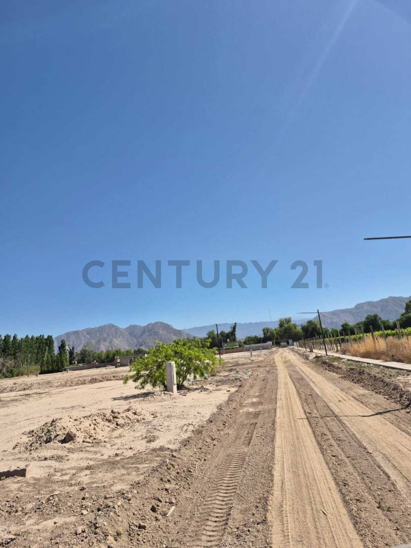 Terreno en Venta en Rivadavia, San Juan