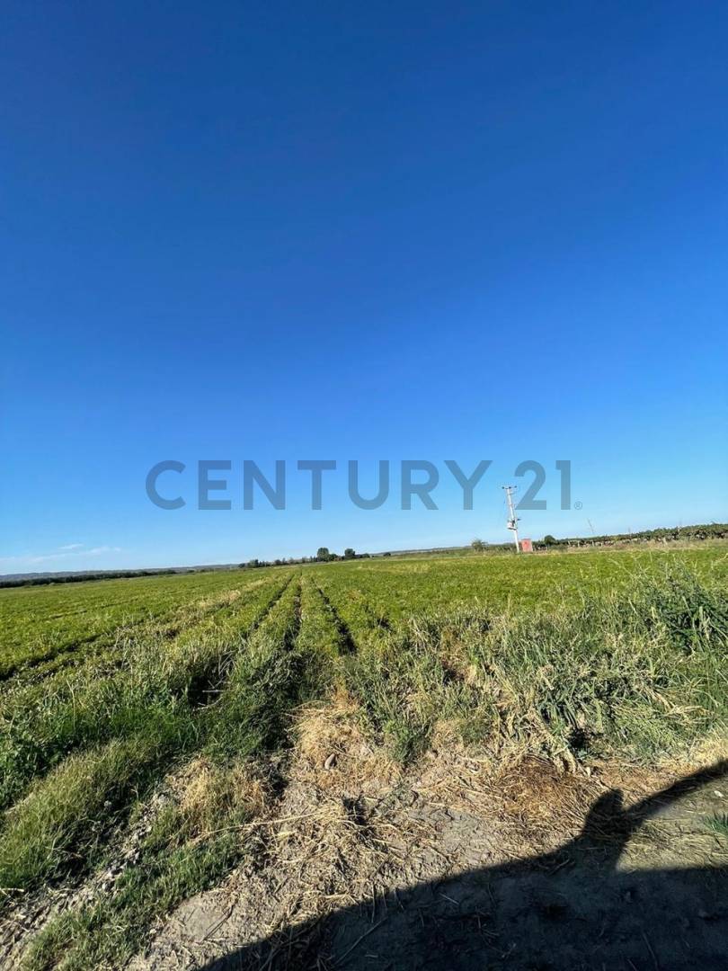 Casa Quinta en Venta en Tupungato, Mendoza
