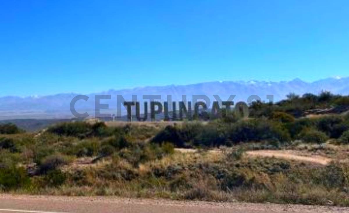 Terreno en Venta en Tupungato, Mendoza