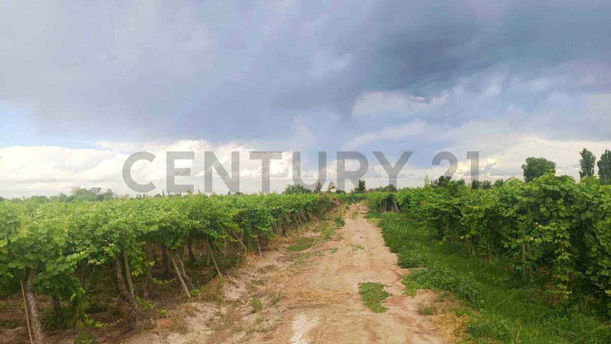 Campo en Venta en Guaymallen, Mendoza