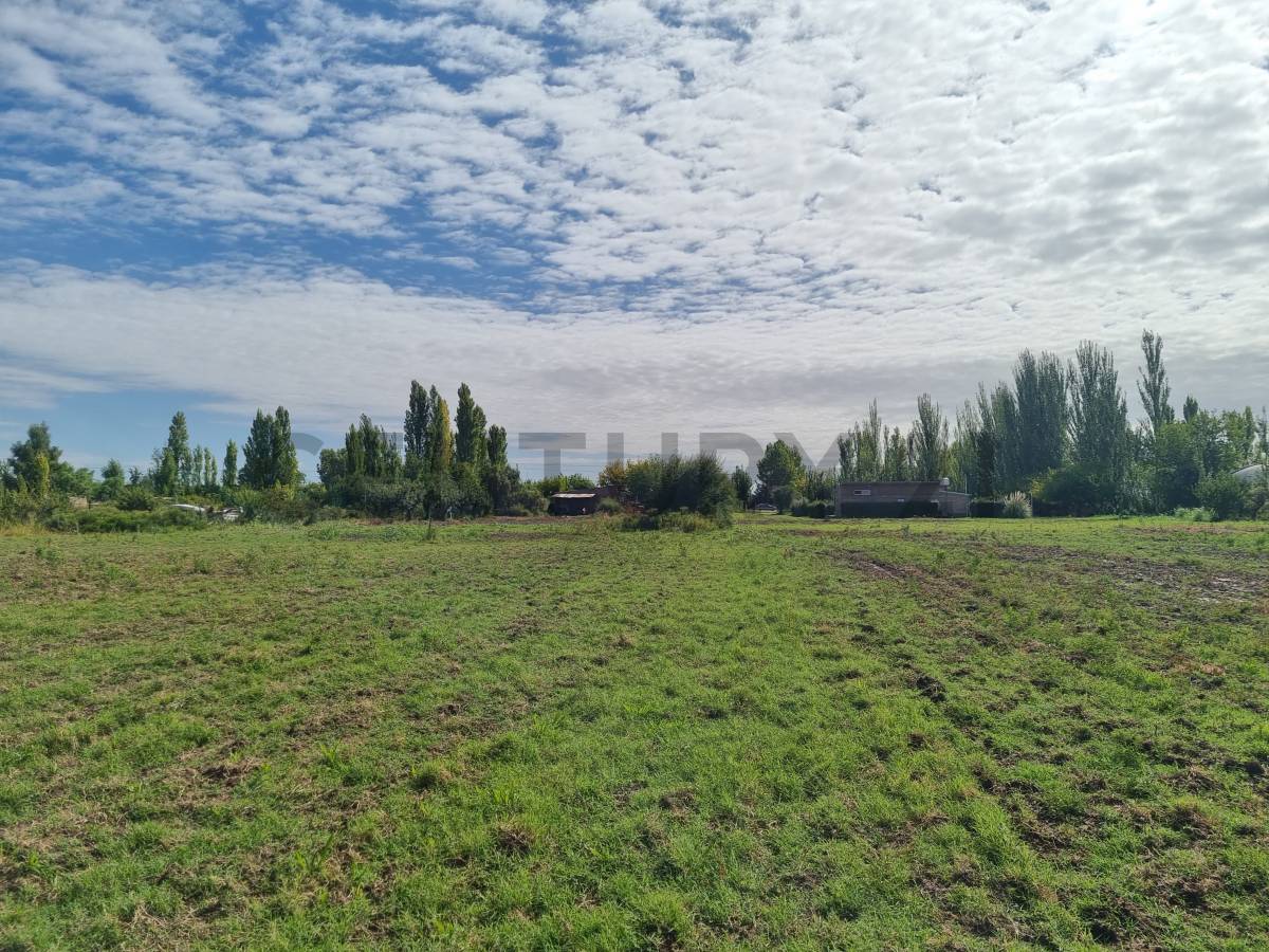 Terreno en Venta en San Rafael, Mendoza