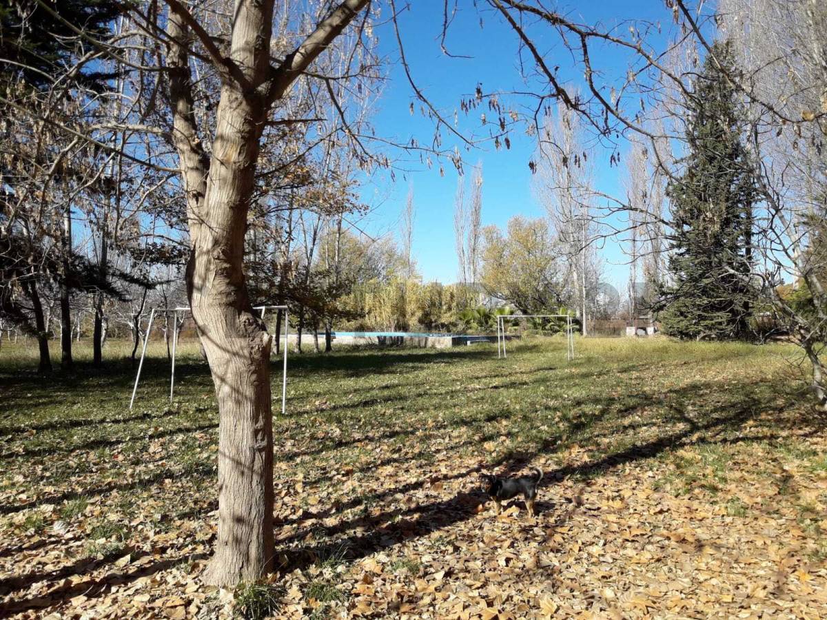 Campo en Venta en Lujan de Cuyo, Mendoza