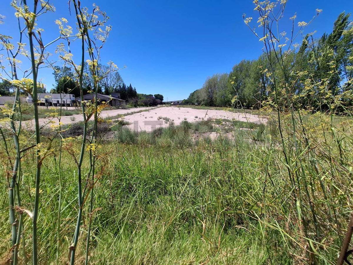Terreno en Alquiler en Lujan de Cuyo, Mendoza