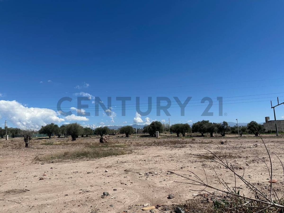 Terreno en Venta en Maipu, Mendoza