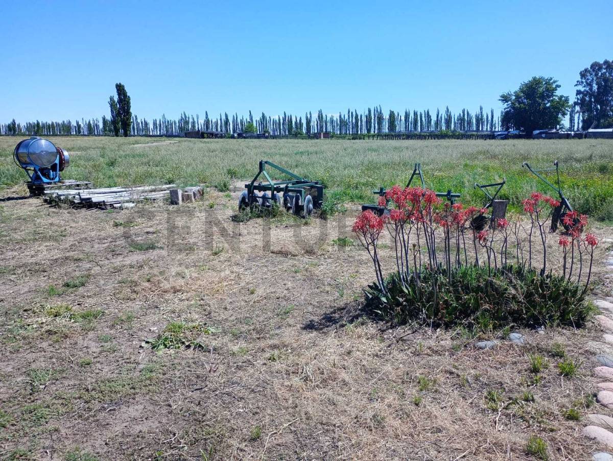Casa Quinta en Venta en San Rafael, Mendoza