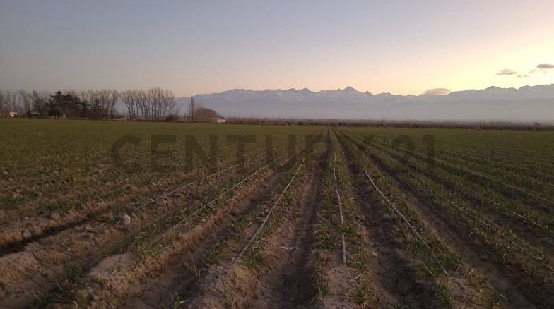Casa Quinta en Venta en Tupungato, Mendoza