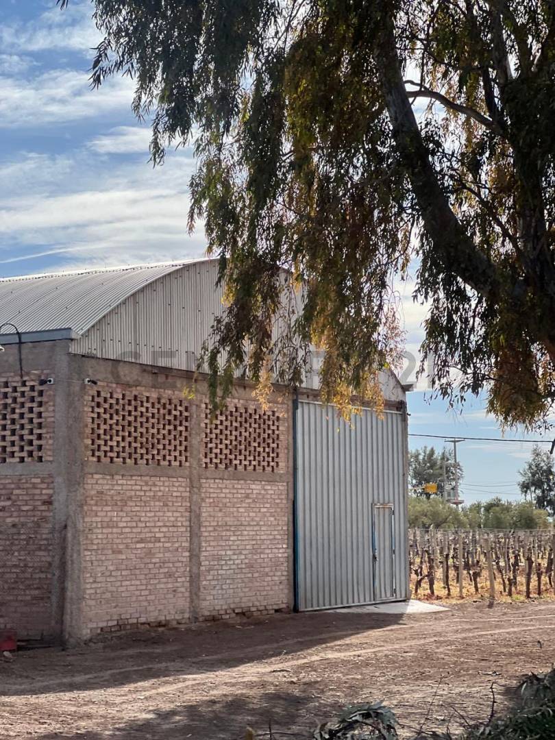 Campo en Venta en Lavalle, Mendoza