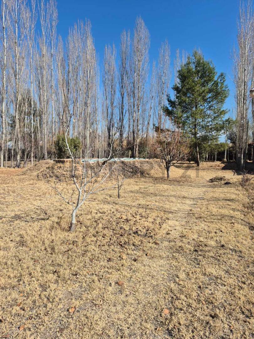 Terreno en Venta en Maipu, Mendoza