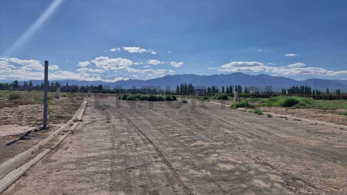 Terreno en Venta en Lujan de Cuyo, Mendoza