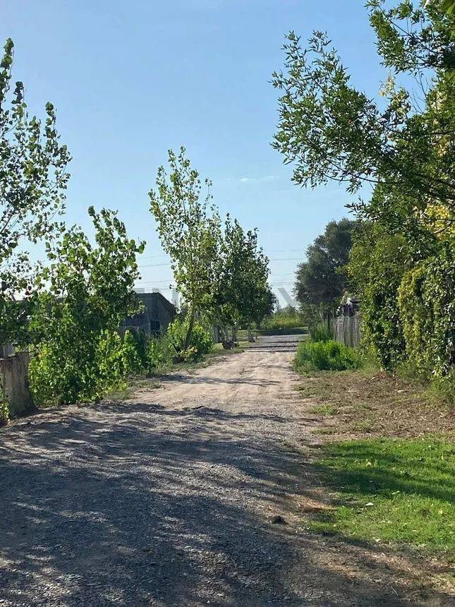 Terreno en Venta en Junin, Mendoza