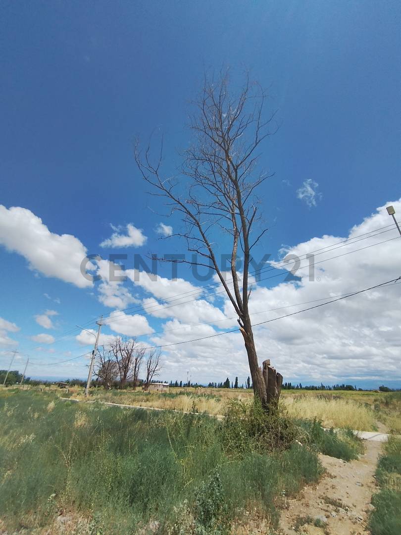 Terreno en Venta en Tupungato, Mendoza