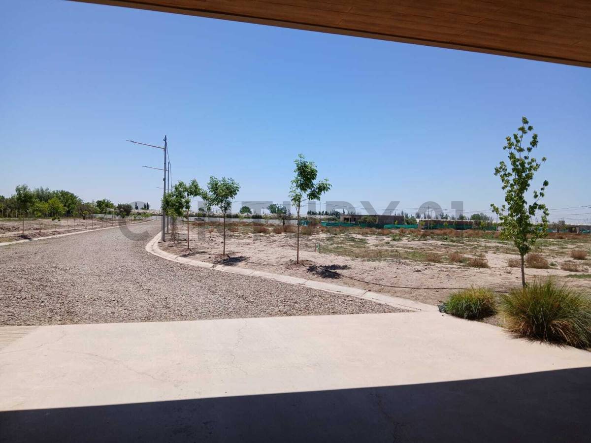 Terreno en Venta en Lujan de Cuyo, Mendoza