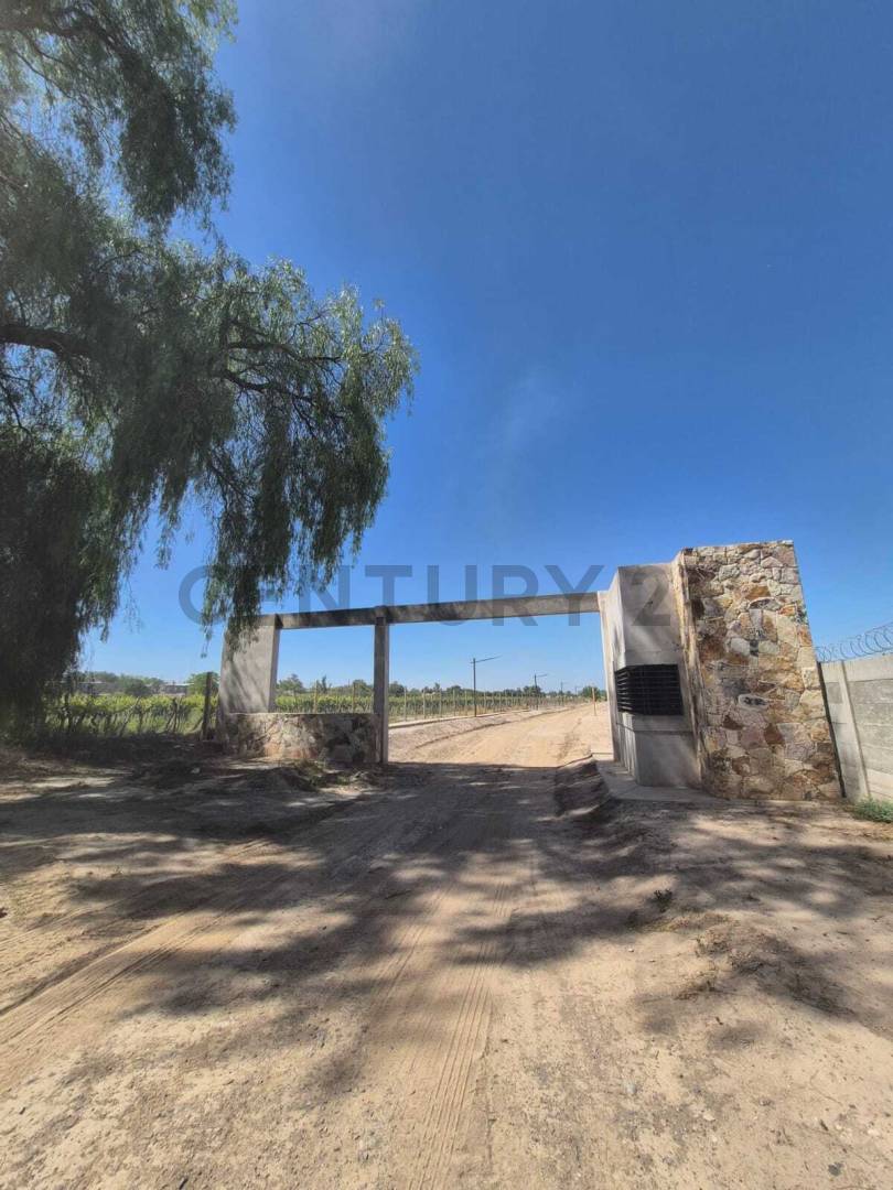 Terreno en Venta en Rivadavia, San Juan