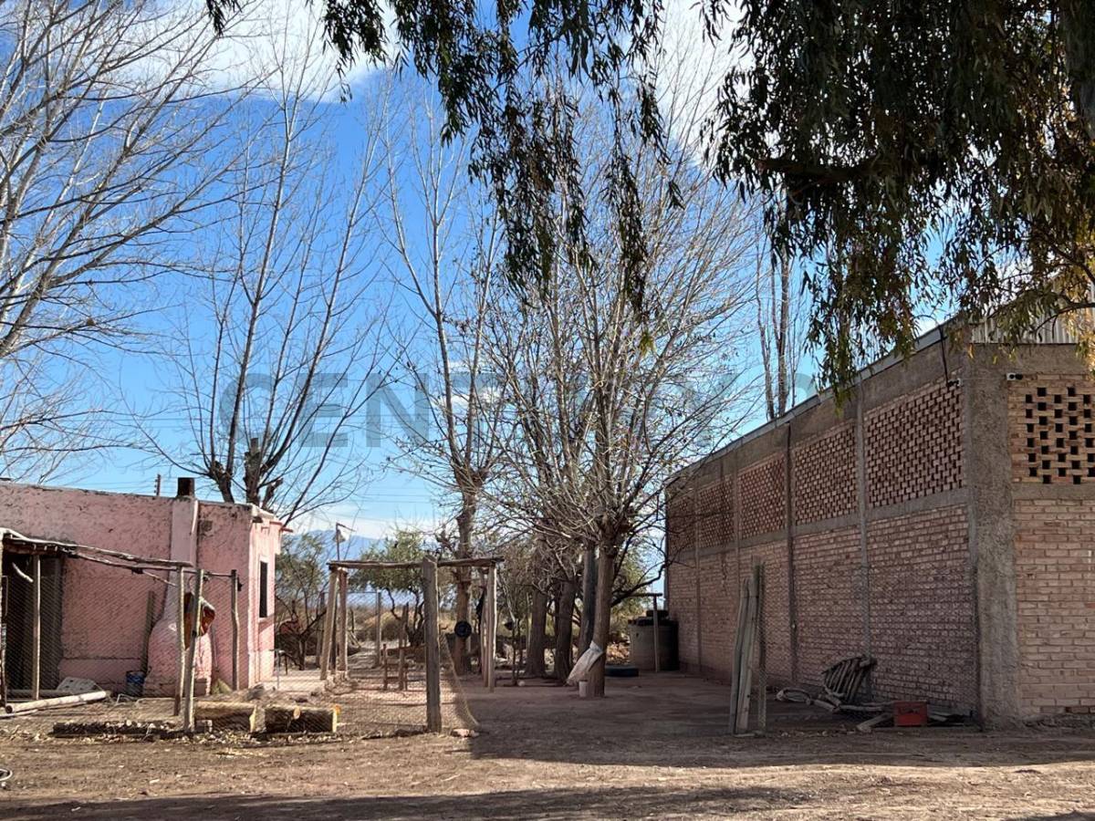 Campo en Venta en Lavalle, Mendoza