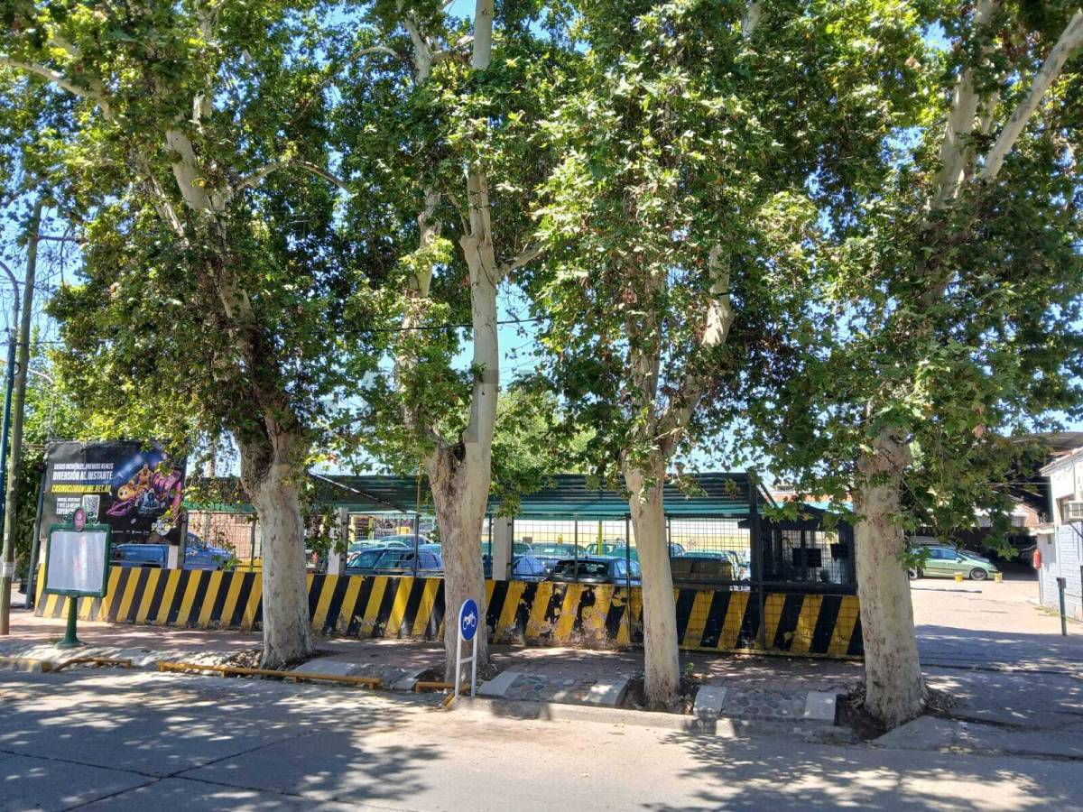 Terreno en Venta en Godoy Cruz, Mendoza