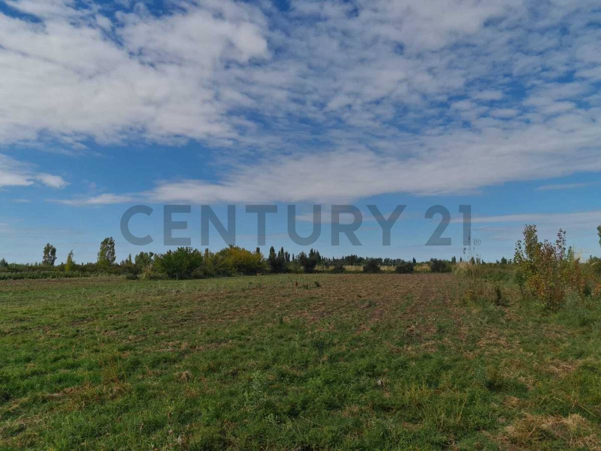 Terreno en Venta en San Rafael, Mendoza