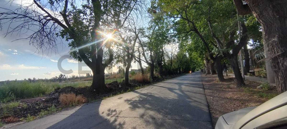 Terreno en Venta en Maipu, Mendoza