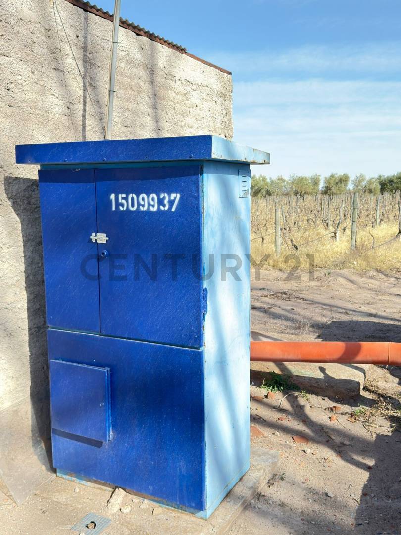 Terreno en Venta en Lavalle, Mendoza