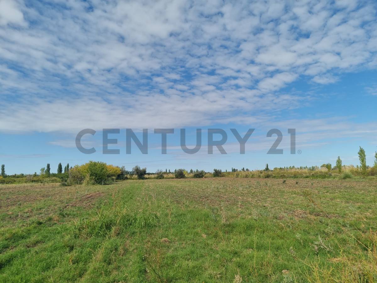 Terreno en Venta en San Rafael, Mendoza