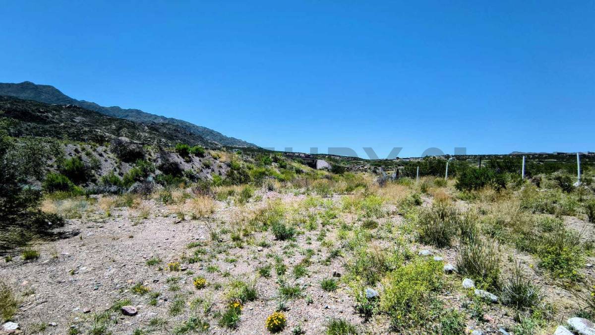 Terreno en Venta en Lujan de Cuyo, Mendoza