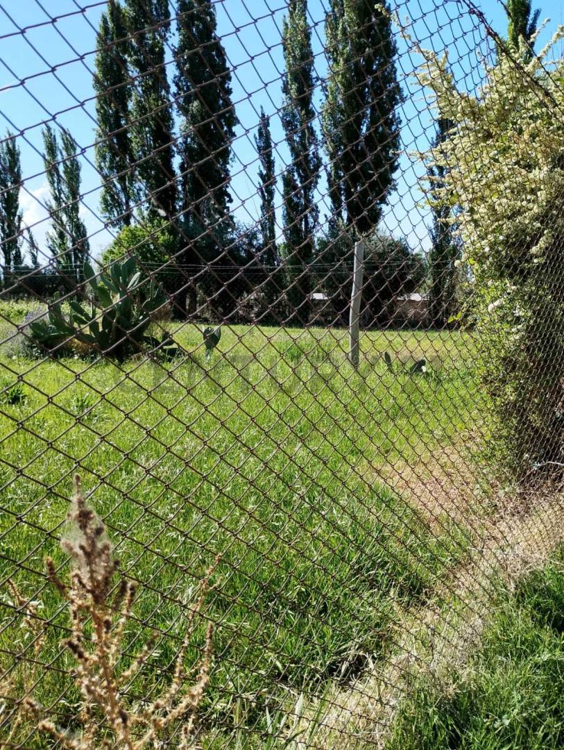 Terreno en Venta en Maipu, Mendoza