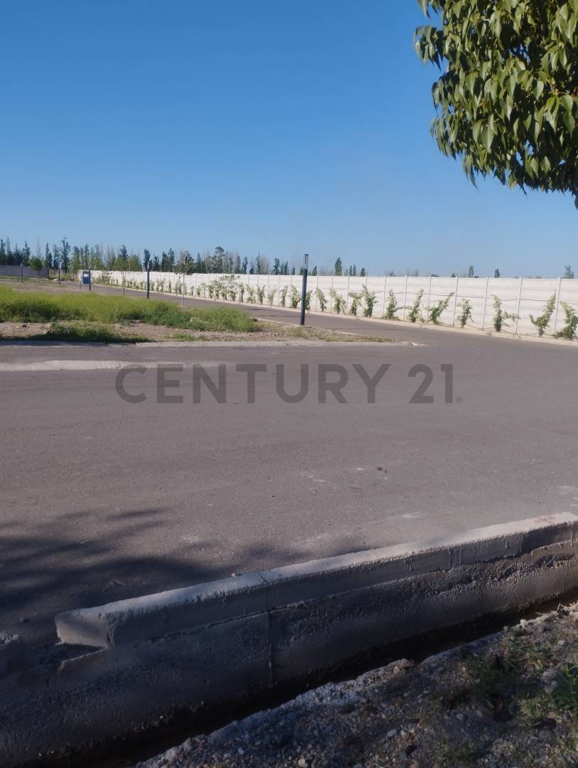 Terreno en Venta en Maipu, Mendoza