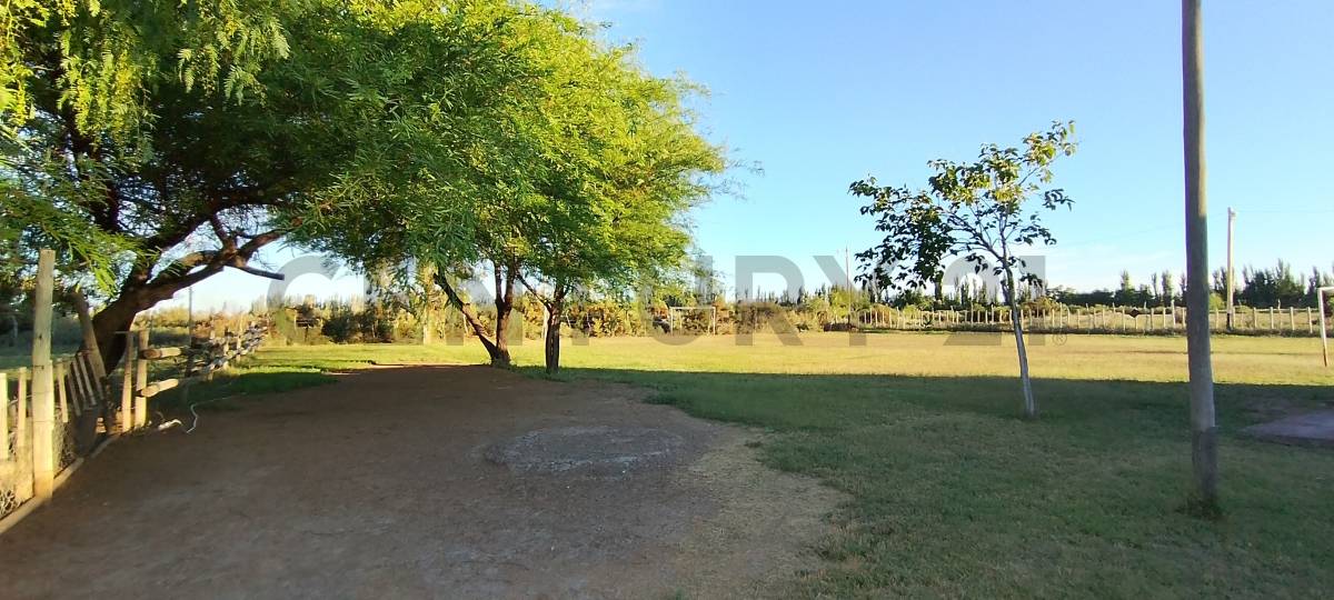 Casa Quinta en Venta en Lavalle, Mendoza