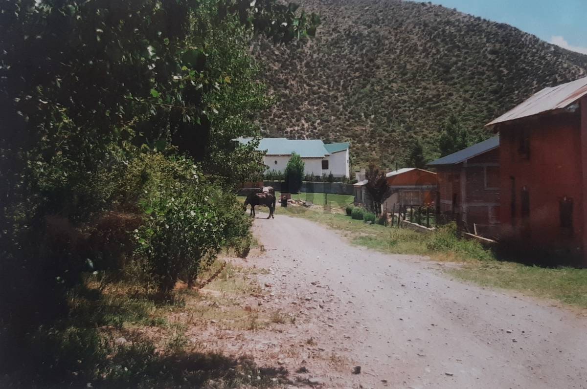 Casa en Venta en Lujan de Cuyo, Mendoza