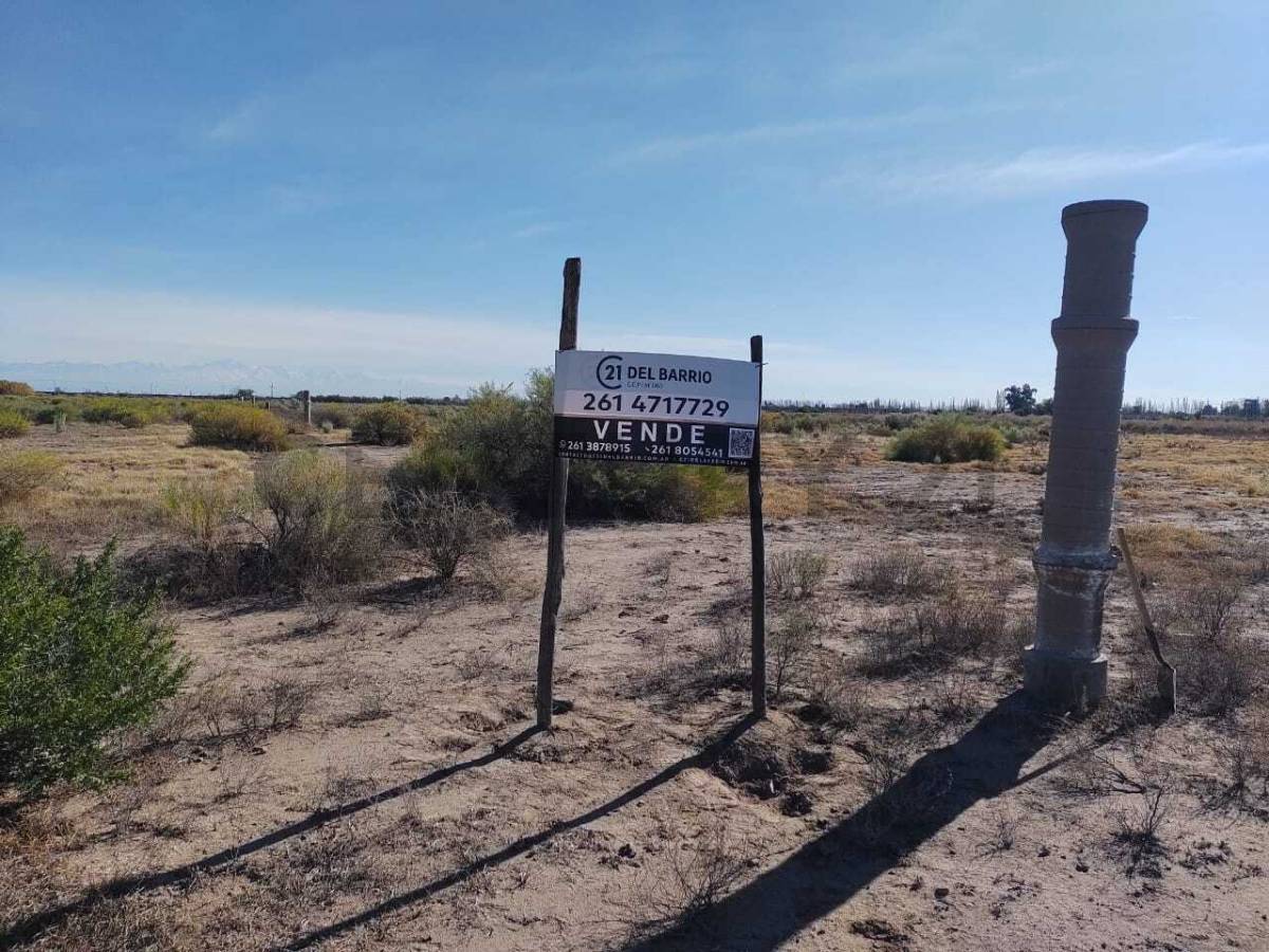 Terreno en Venta en Rivadavia, Mendoza