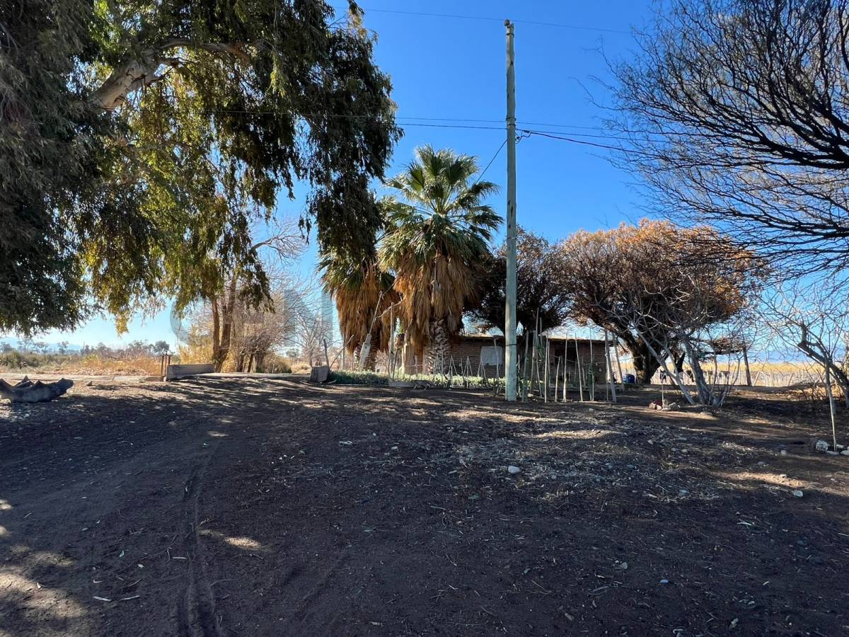 Campo en Venta en Angaco, San Juan