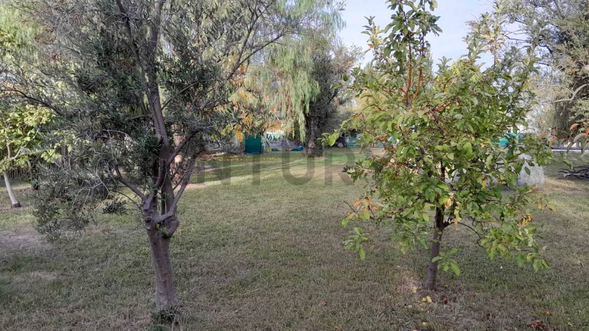 Terreno en Venta en Maipu, Mendoza
