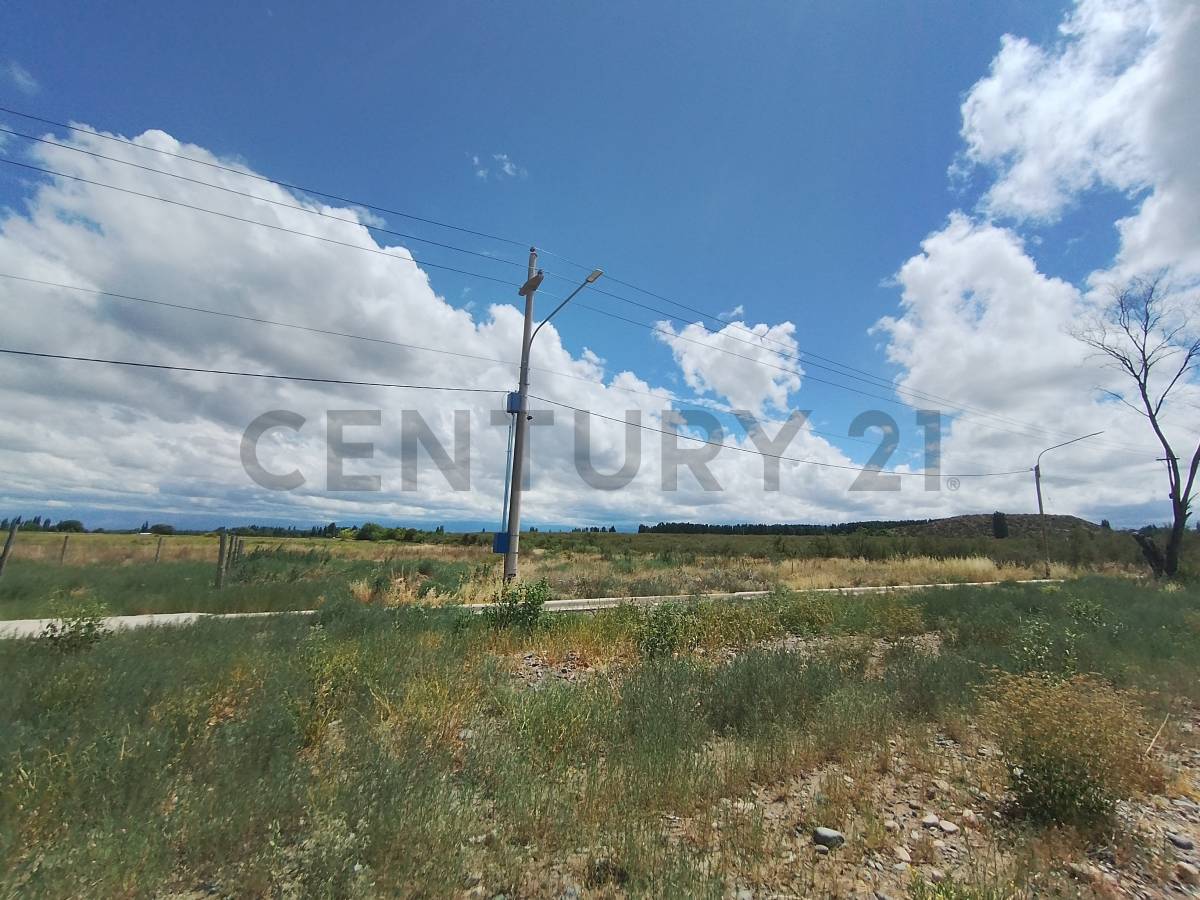 Terreno en Venta en Tupungato, Mendoza