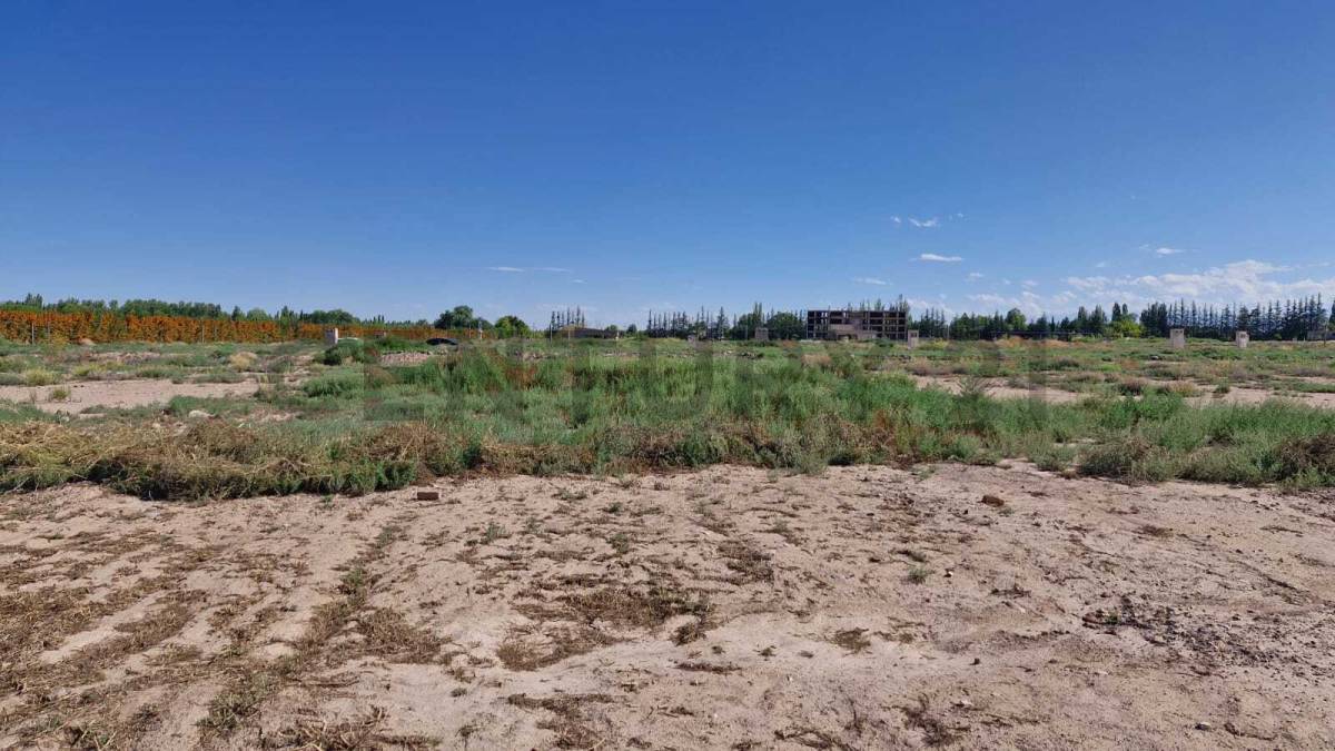 Terreno en Venta en Lujan de Cuyo, Mendoza
