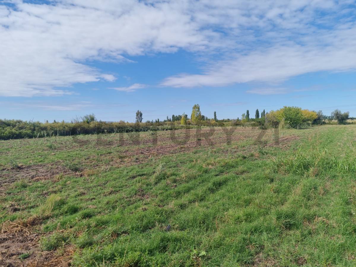 Terreno en Venta en San Rafael, Mendoza