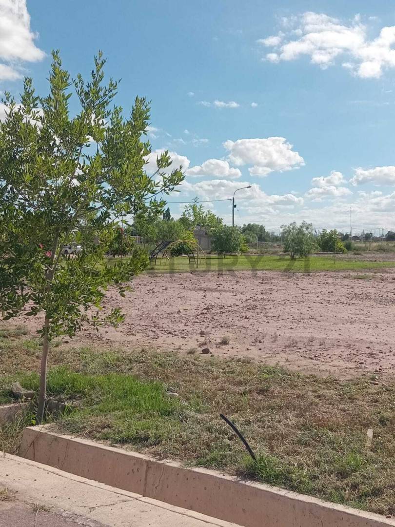 Terreno en Venta en Maipu, Mendoza